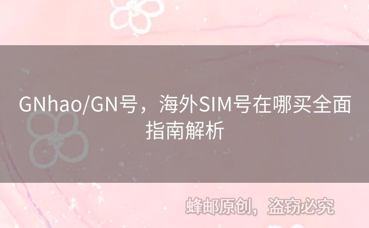 GNhao/GN號(hào)，海外SIM號(hào)在哪買(mǎi)全面指南解析