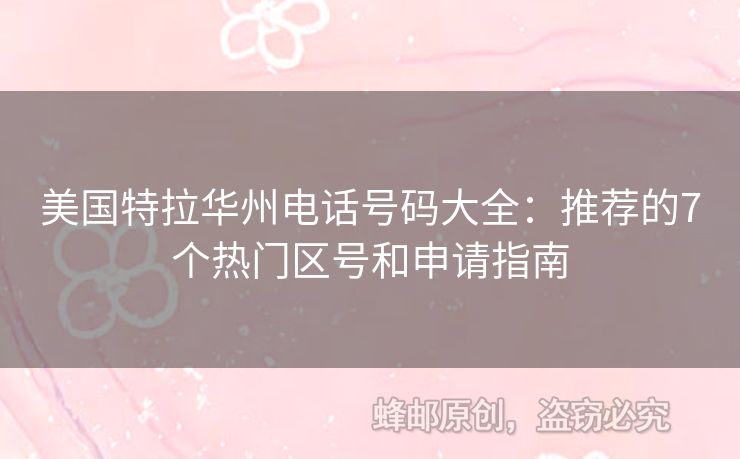 美國特拉華州電話號碼大全：推薦的7個熱門區(qū)號和申請指南