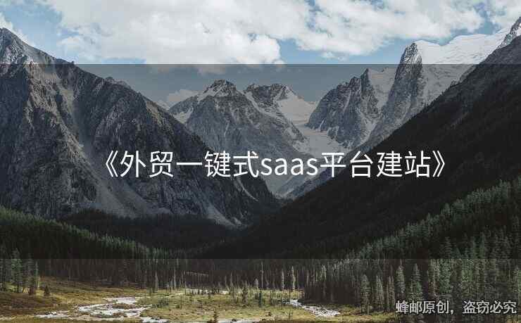 《外貿(mào)一鍵式saas平臺(tái)建站》