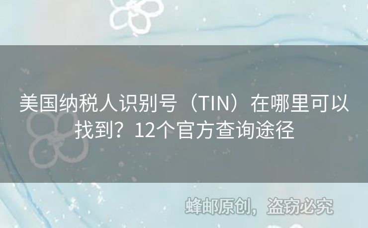 美國納稅人識別號（TIN）在哪里可以找到？12個官方查詢途徑