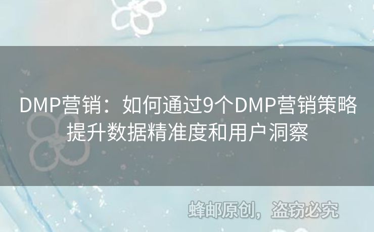 DMP營(yíng)銷(xiāo)：如何通過(guò)9個(gè)DMP營(yíng)銷(xiāo)策略提升數(shù)據(jù)精準(zhǔn)度和用戶(hù)洞察