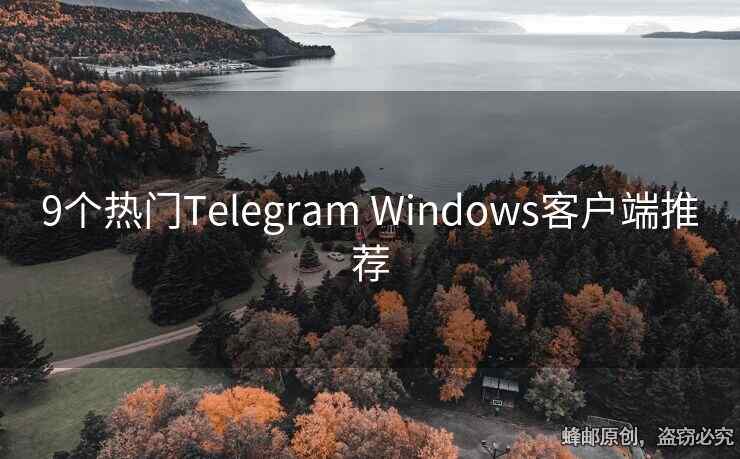 9個(gè)熱門Telegram Windows客戶端推薦