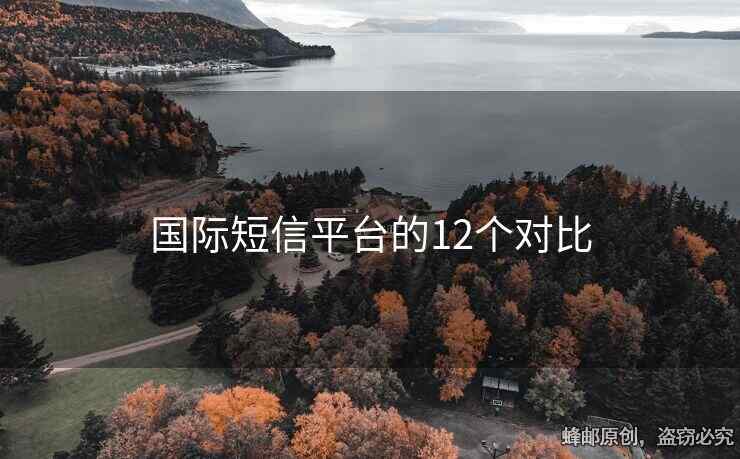 國際短信平臺的12個對比