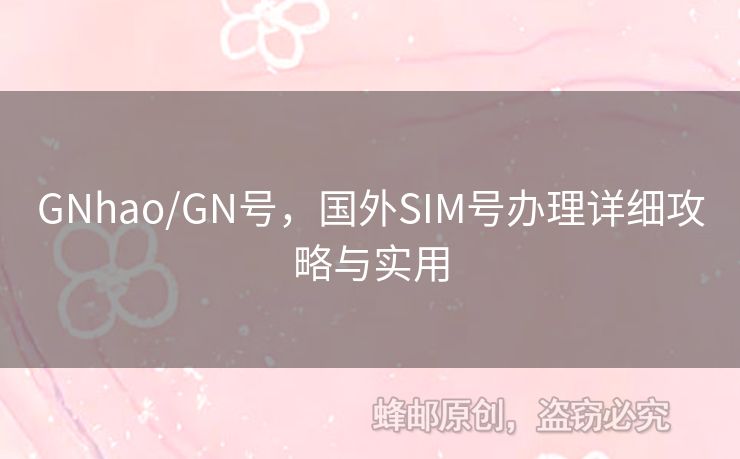 GNhao/GN號(hào)，國外SIM號(hào)辦理詳細(xì)攻略與實(shí)用