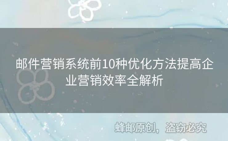 郵件營銷系統(tǒng)前10種優(yōu)化方法提高企業(yè)營銷效率全解析