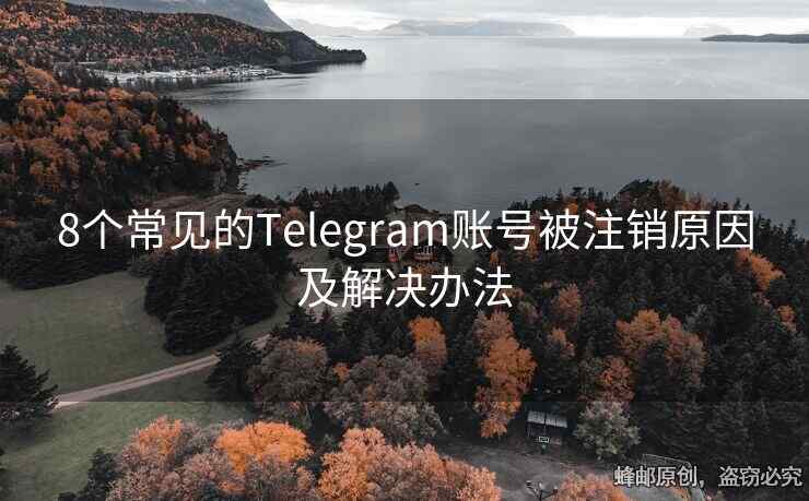 8個(gè)常見的Telegram賬號(hào)被注銷原因及解決辦法