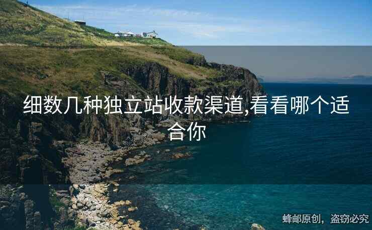 細(xì)數(shù)幾種獨(dú)立站收款渠道,看看哪個(gè)適合你