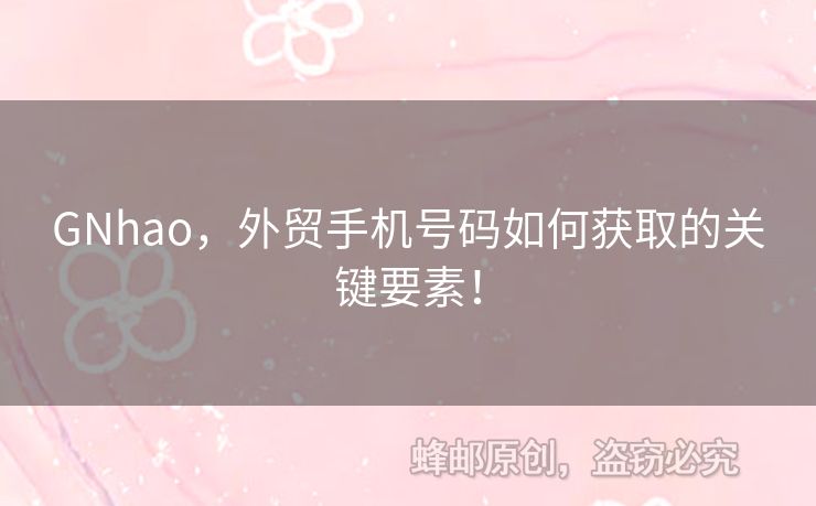 GNhao，外貿(mào)手機號碼如何獲取的關(guān)鍵要素！