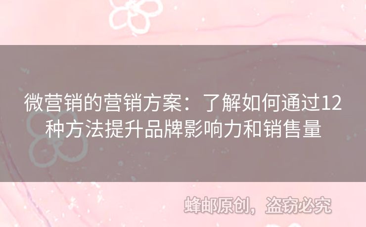 微營銷的營銷方案：了解如何通過12種方法提升品牌影響力和銷售量