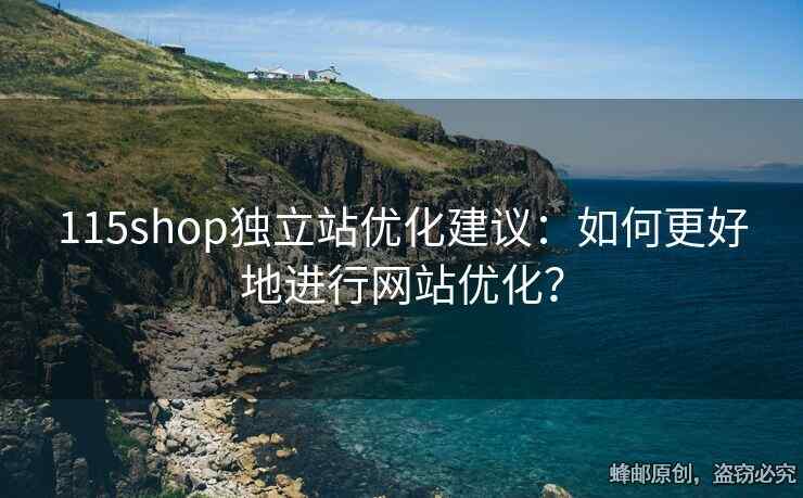 115shop獨立站優(yōu)化建議：如何更好地進行網(wǎng)站優(yōu)化？