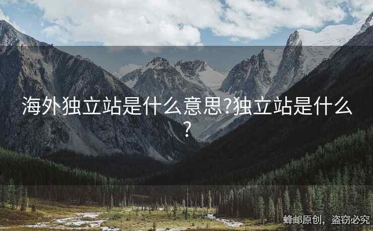 海外獨立站是什么意思?獨立站是什么?