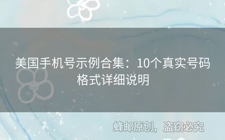 美國手機號示例合集：10個真實號碼格式詳細說明